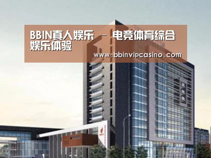 案例展示七