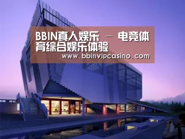 案例展示六